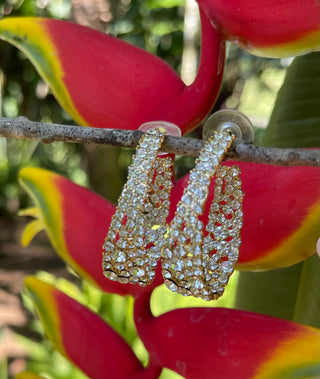 Wide CZ Paradise Earring